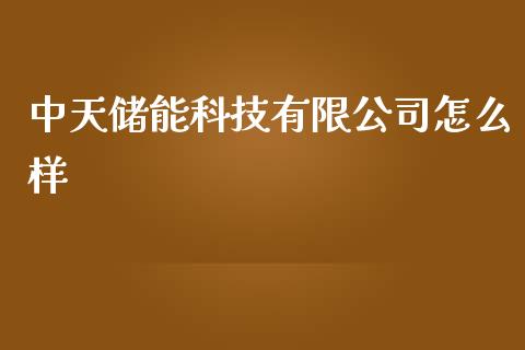 中天储能科技有限公司怎么样_https://m.lcjysmgs.com_金融服务_第1张