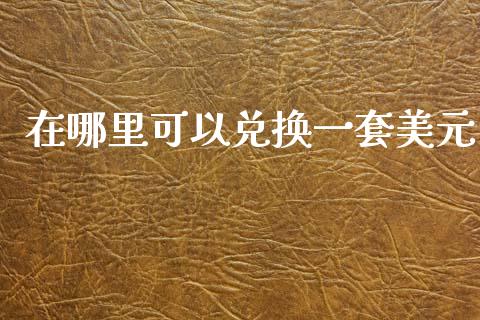 在哪里可以兑换一套美元_https://m.lcjysmgs.com_金融服务_第1张