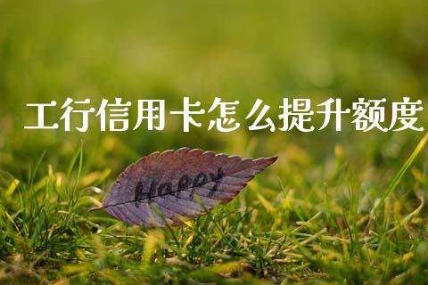 工行信用卡怎么提升额度_https://m.lcjysmgs.com_股权投资_第1张