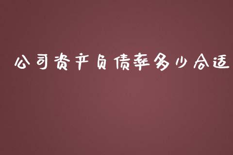公司资产负债率多少合适_https://m.lcjysmgs.com_基金管理_第1张