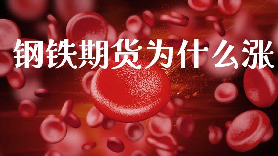 钢铁期货为什么涨_https://m.lcjysmgs.com_股权投资_第1张
