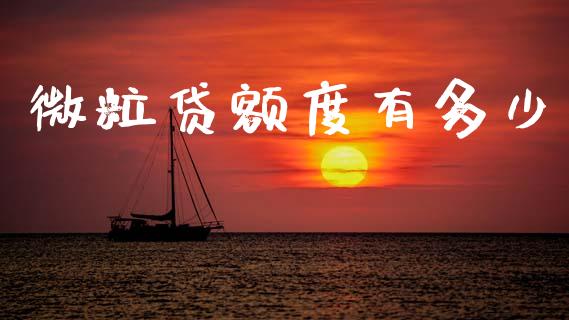 微粒贷额度有多少_https://m.lcjysmgs.com_股票交易_第1张