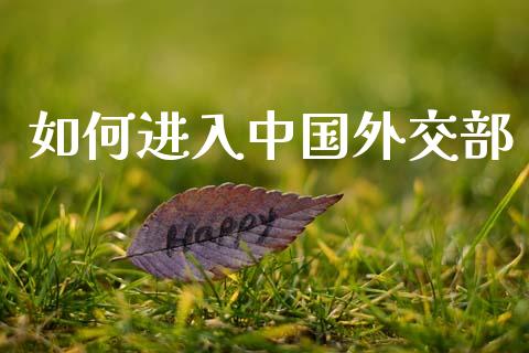 如何进入中国外交部_https://m.lcjysmgs.com_股票交易_第1张