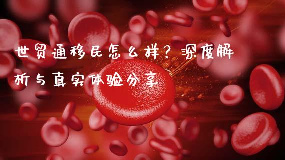 世贸通移民怎么样？深度解析与真实体验分享_https://m.lcjysmgs.com_金融服务_第1张