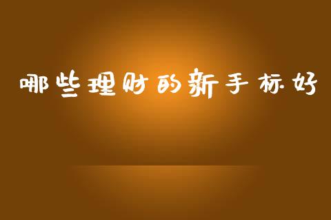 哪些理财的新手标好_https://m.lcjysmgs.com_金融服务_第1张