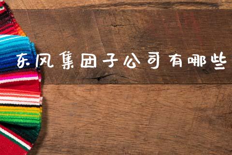 东风集团子公司有哪些_https://m.lcjysmgs.com_基金管理_第1张
