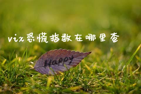 vix恐慌指数在哪里查_https://m.lcjysmgs.com_股票交易_第1张