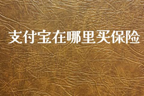 支付宝在哪里买保险_https://m.lcjysmgs.com_基金管理_第1张