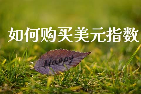 如何购买美元指数_https://m.lcjysmgs.com_基金管理_第1张