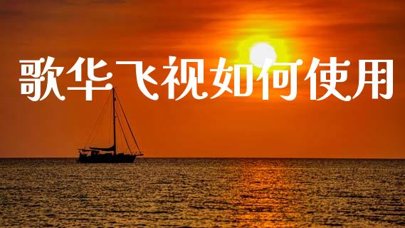 歌华飞视如何使用_https://m.lcjysmgs.com_金融服务_第1张