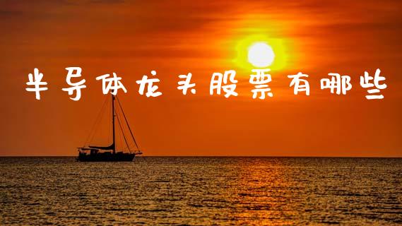半导体龙头股票有哪些_https://m.lcjysmgs.com_股权投资_第1张