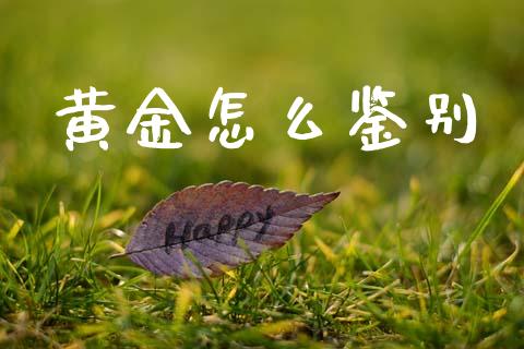 黄金怎么鉴别_https://m.lcjysmgs.com_股票交易_第1张