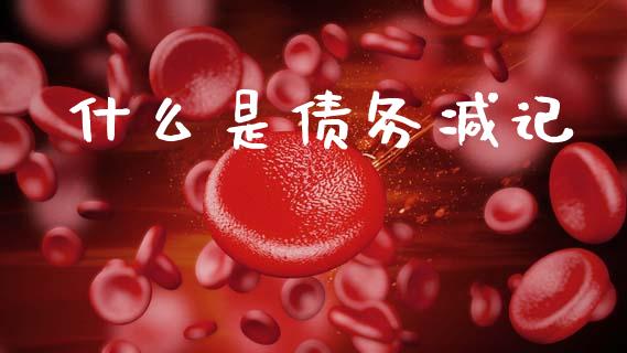 什么是债务减记_https://m.lcjysmgs.com_金融服务_第1张