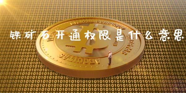 铁矿石开通权限是什么意思_股票交易_第1张_股权投资_基金管理_股票交易_金融服务 铁矿石开通权限是什么意思_https://m.lcjysmgs.com_股票交易_第1张
