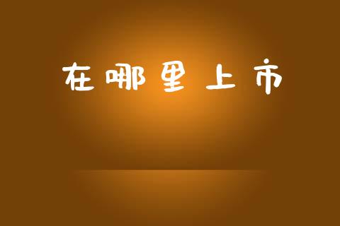 在哪里上市_https://m.lcjysmgs.com_股权投资_第1张