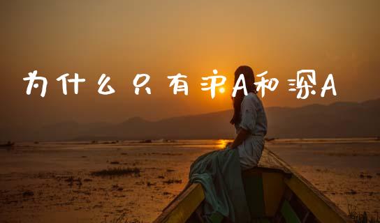 为什么只有沪A和深A_https://m.lcjysmgs.com_基金管理_第1张