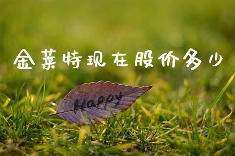金莱特现在股价多少_https://m.lcjysmgs.com_股票交易_第1张