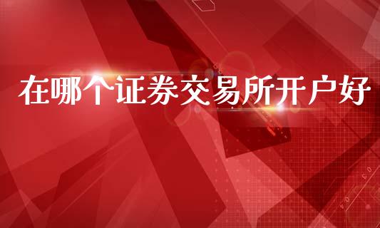 在哪个证券交易所开户好_https://m.lcjysmgs.com_股票交易_第1张