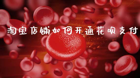 淘宝店铺如何开通花呗支付_https://m.lcjysmgs.com_基金管理_第1张