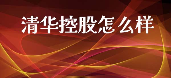 清华控股怎么样_https://m.lcjysmgs.com_金融服务_第1张