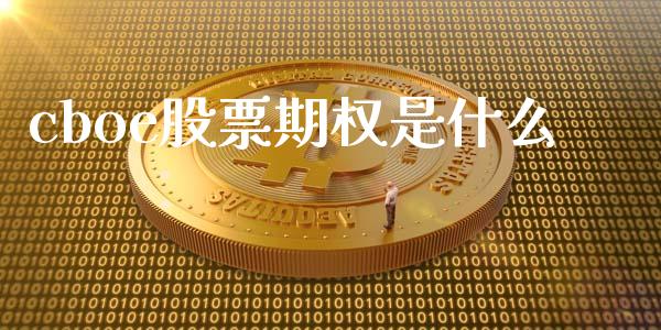 cboe股票期权是什么_https://m.lcjysmgs.com_基金管理_第1张