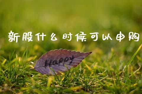 新股什么时候可以申购_https://m.lcjysmgs.com_股票交易_第1张