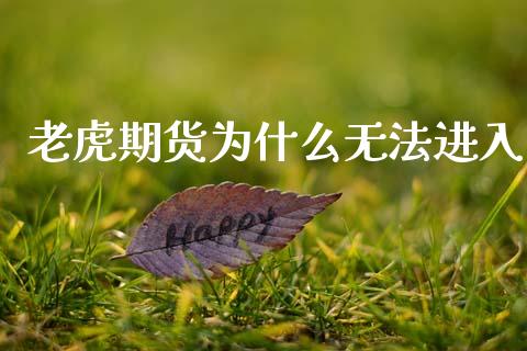 老虎期货为什么无法进入_https://m.lcjysmgs.com_金融服务_第1张