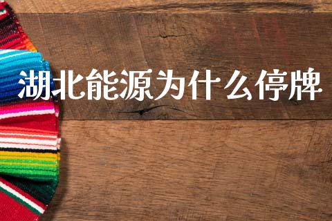 湖北能源为什么停牌_https://m.lcjysmgs.com_基金管理_第1张
