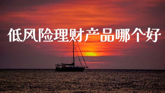 低风险理财产品哪个好_https://m.lcjysmgs.com_股权投资_第1张