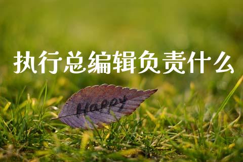 执行总编辑负责什么_https://m.lcjysmgs.com_股权投资_第1张