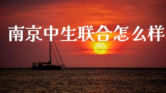 南京中生联合怎么样_https://m.lcjysmgs.com_金融服务_第1张