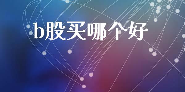 b股买哪个好_https://m.lcjysmgs.com_基金管理_第1张
