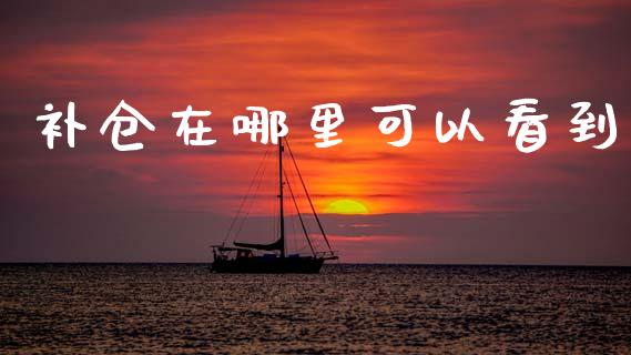 补仓在哪里可以看到_https://m.lcjysmgs.com_股票交易_第1张
