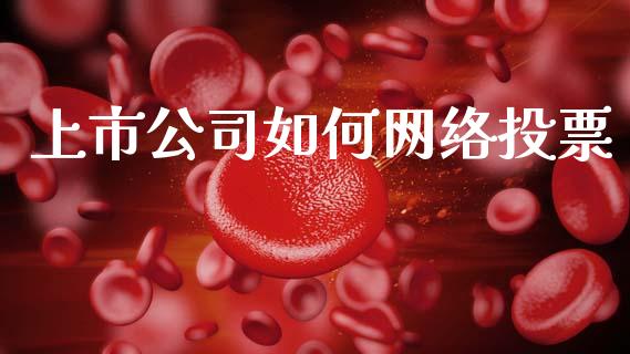 上市公司如何网络投票_https://m.lcjysmgs.com_股票交易_第1张