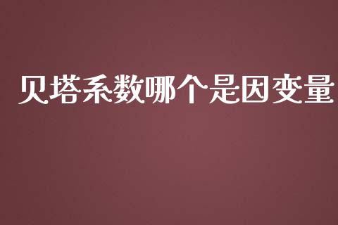贝塔系数哪个是因变量_https://m.lcjysmgs.com_股权投资_第1张