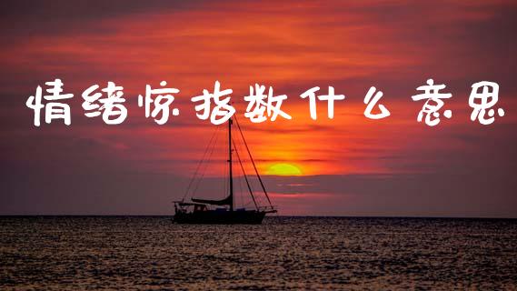 情绪惊指数什么意思_https://m.lcjysmgs.com_金融服务_第1张