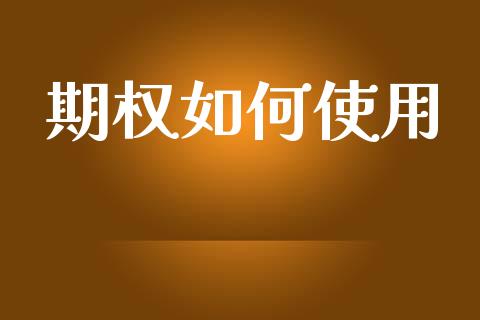 期权如何使用_https://m.lcjysmgs.com_股权投资_第1张