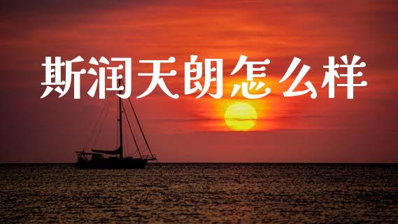 斯润天朗怎么样_https://m.lcjysmgs.com_股权投资_第1张