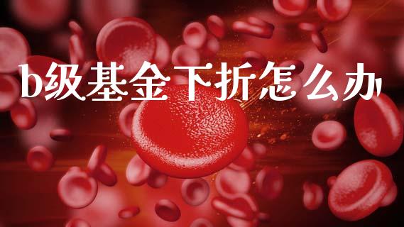 b级基金下折怎么办_https://m.lcjysmgs.com_基金管理_第1张