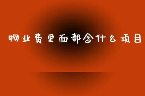 物业费里面都含什么项目_https://m.lcjysmgs.com_基金管理_第1张