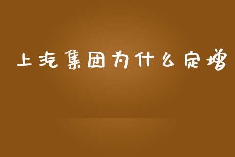 上汽集团为什么定增_https://m.lcjysmgs.com_基金管理_第1张