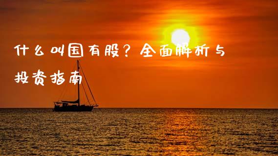 什么叫国有股？全面解析与投资指南_https://m.lcjysmgs.com_基金管理_第1张