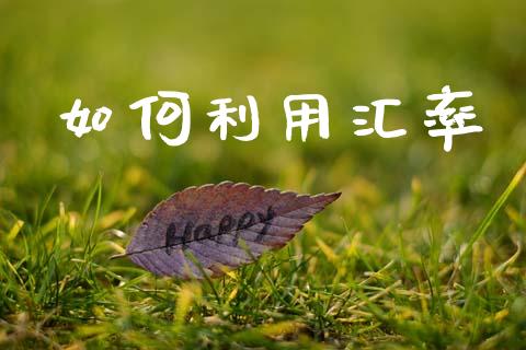 如何利用汇率_股票交易_第1张_股权投资_基金管理_股票交易_金融服务 如何利用汇率_https://m.lcjysmgs.com_股票交易_第1张