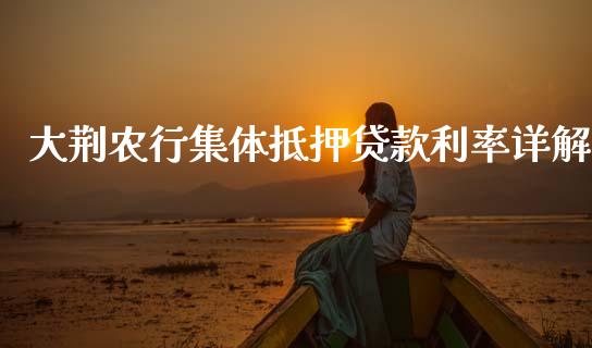 大荆农行集体抵押贷款利率详解_https://m.lcjysmgs.com_基金管理_第1张