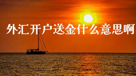 外汇开户送金什么意思啊_https://m.lcjysmgs.com_金融服务_第1张