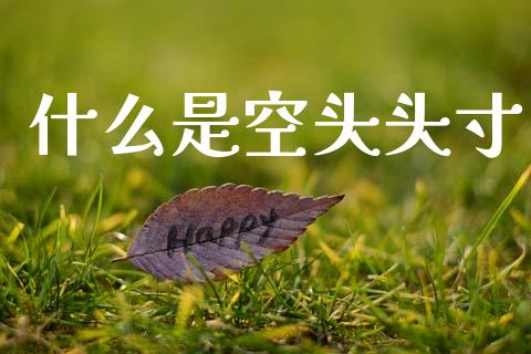 什么是空头头寸_https://m.lcjysmgs.com_金融服务_第1张