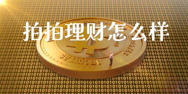 拍拍理财怎么样_https://m.lcjysmgs.com_股权投资_第1张
