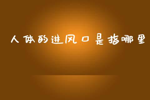 人体的进风口是指哪里_https://m.lcjysmgs.com_基金管理_第1张