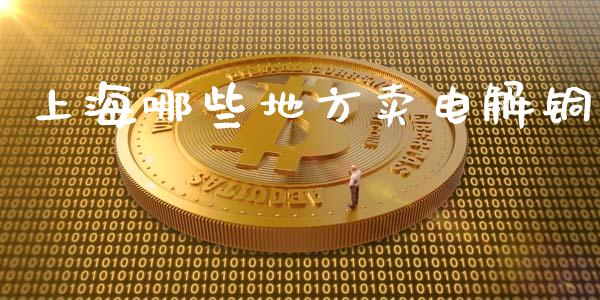 上海哪些地方卖电解铜_https://m.lcjysmgs.com_金融服务_第1张