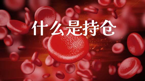 什么是持仓_股票交易_第1张_股权投资_基金管理_股票交易_金融服务 什么是持仓_https://m.lcjysmgs.com_股票交易_第1张